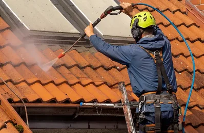 Démoussage et hydrofuge de toiture à Vic-le-Fesq